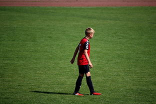 爱游戏官网充值-世界拳击青年赛中国选手勇夺金腰带，世界拳击表演赛