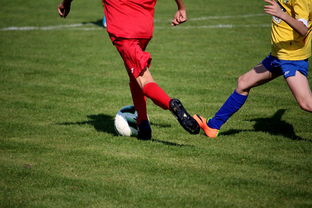 爱游戏官网充值-世界拳击青年赛中国选手勇夺金腰带,世界拳击表演赛